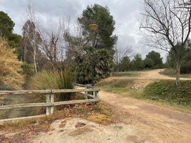 Zona peatonal en Llíria.