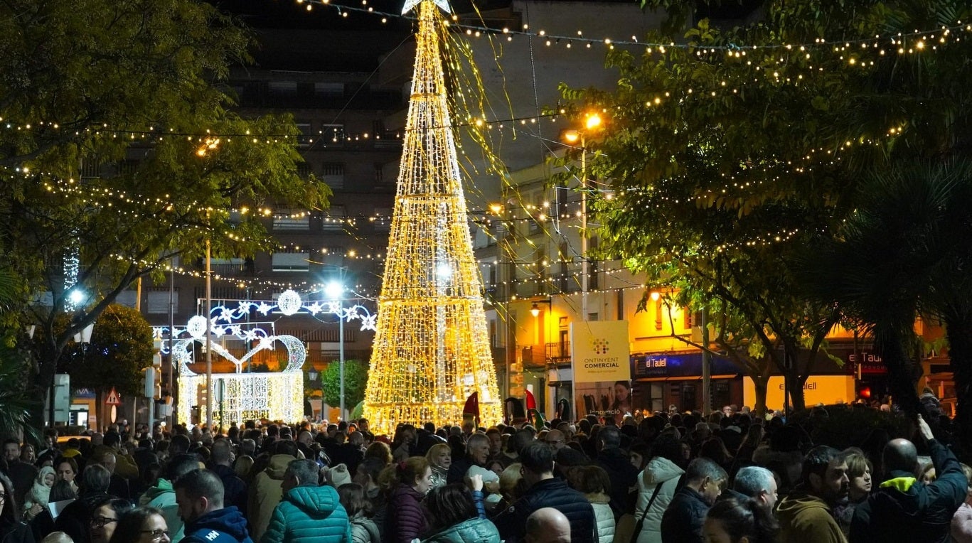 El árbol de Navidad que puede verse en la Plaza de la Concepción.