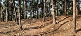 Es la segunda actuación de este tipo que se realizan en zona forestal de Teulada.