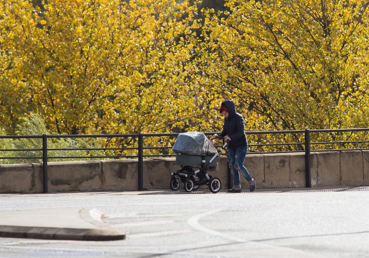 Una mujer porta un carrito de bebé.