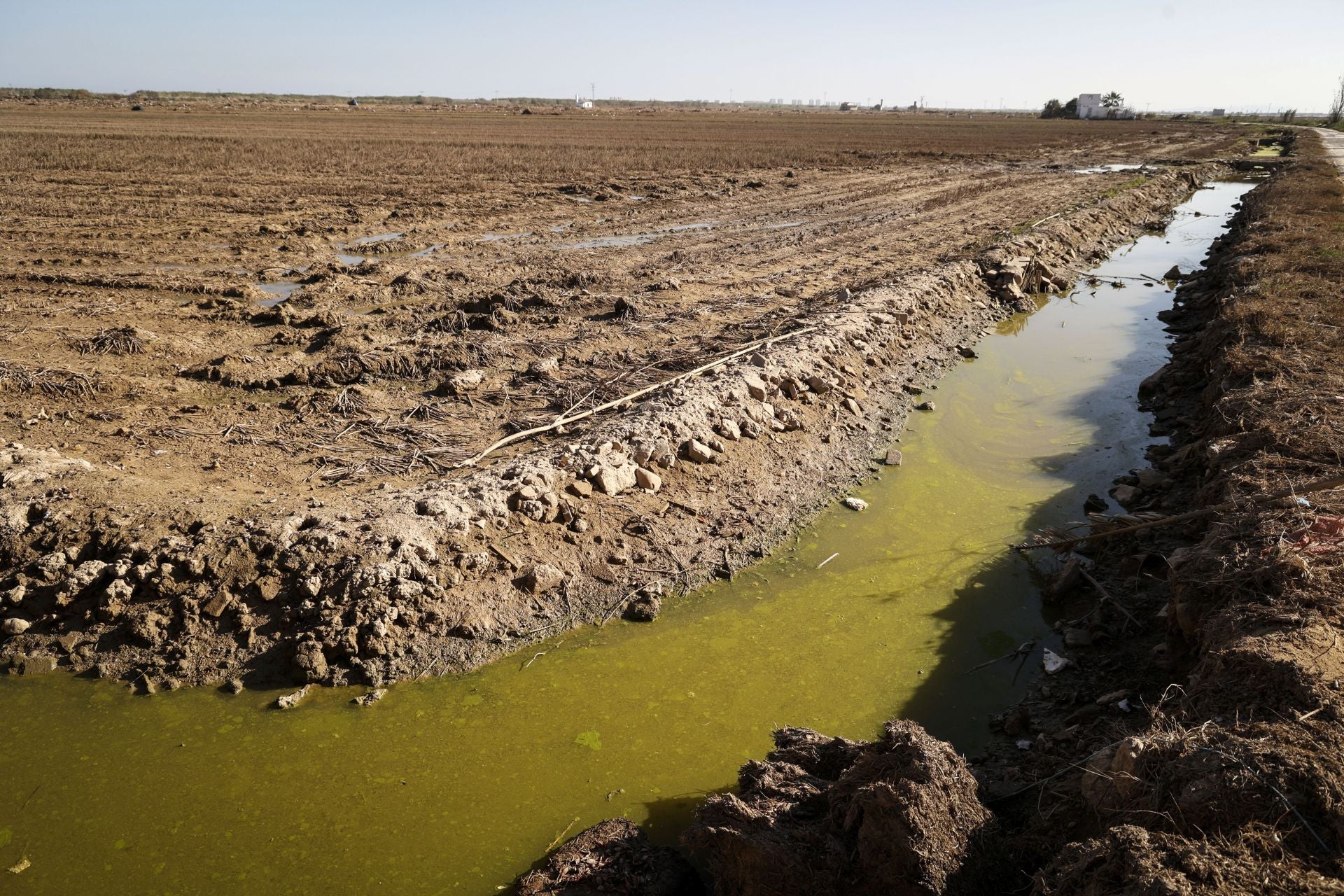 Así sigue la Albufera más de un mes después de la DANA