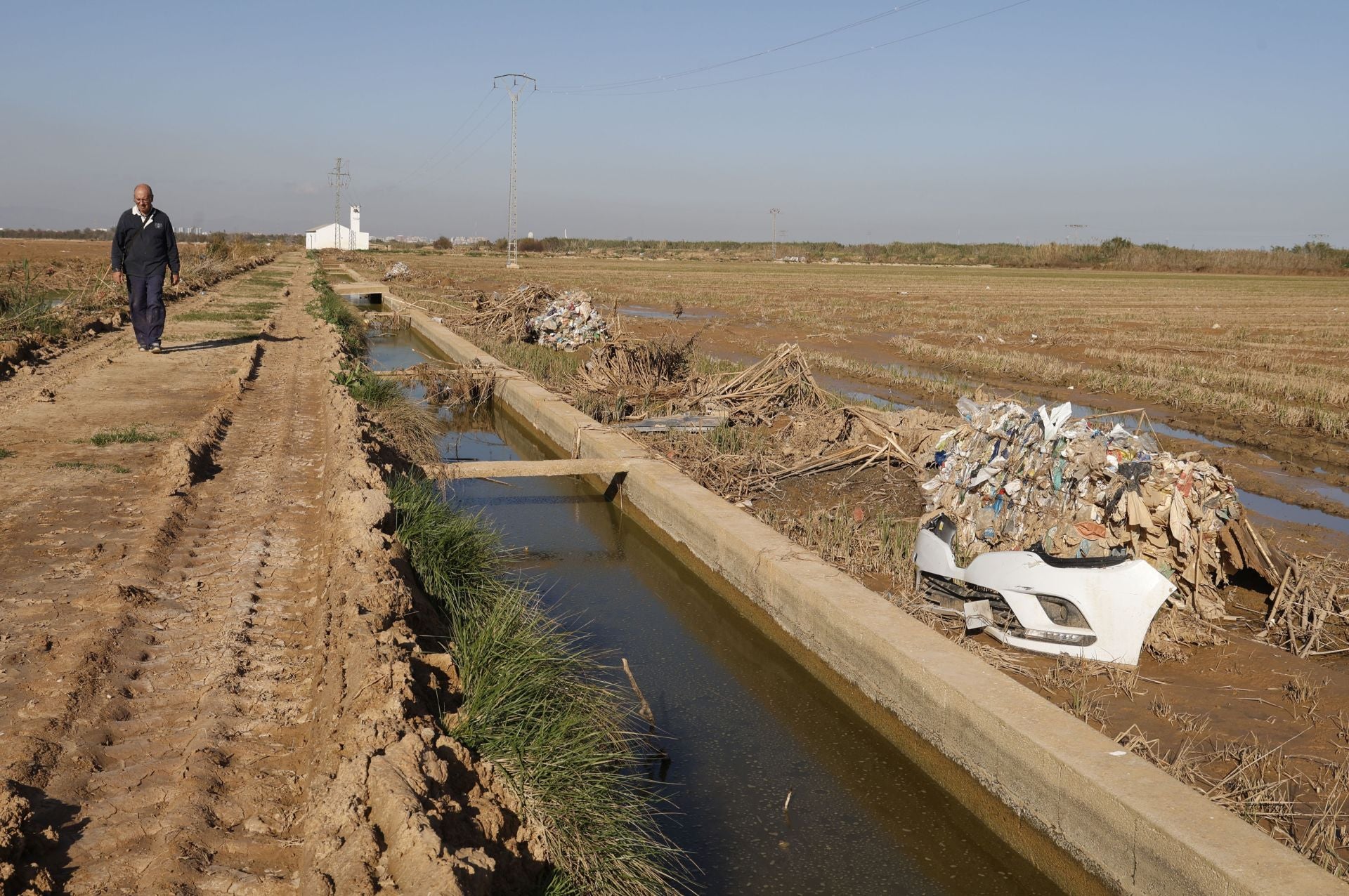 Así sigue la Albufera más de un mes después de la DANA