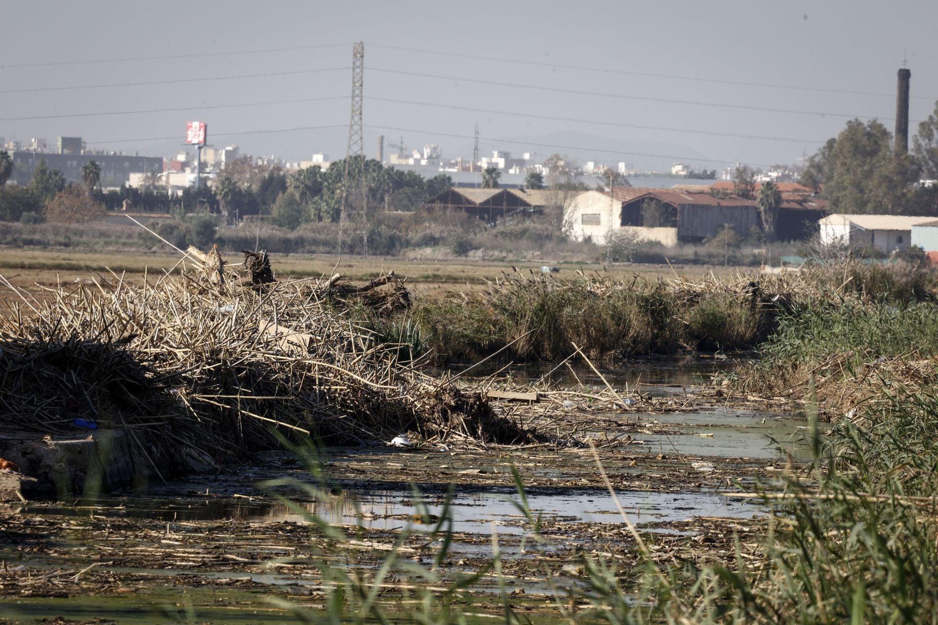 Así sigue la Albufera más de un mes después de la DANA