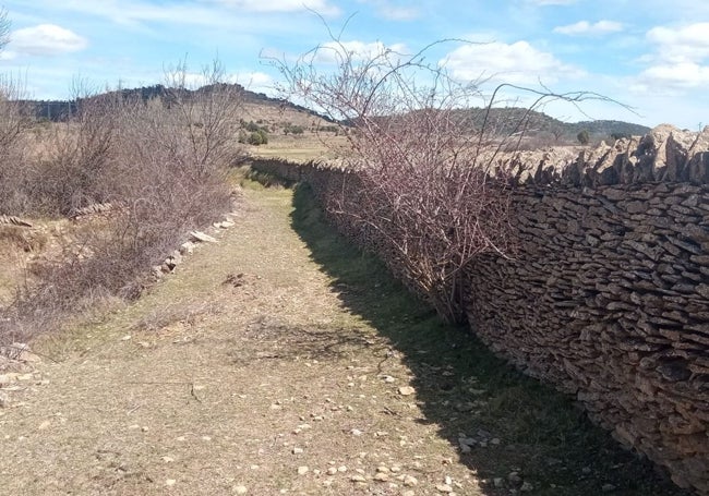 Una de las pistas con grava de la ruta propuesta.