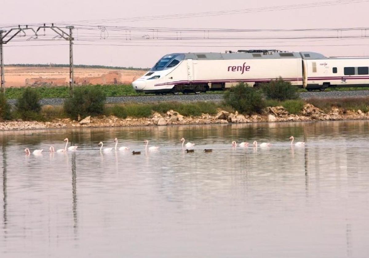 Uno de los trenes de Renfe.