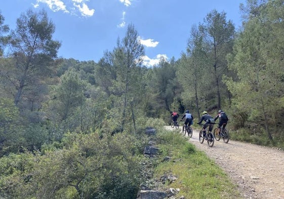 Ciclistas por un camino forestal en la Serra Calderona.