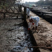 La Albufera tras la dana: 38 millones para ponerse en pie a lo largo del próximo año