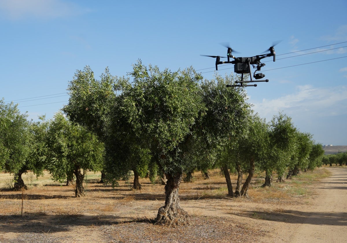 Un dron en una imagen de archivo.