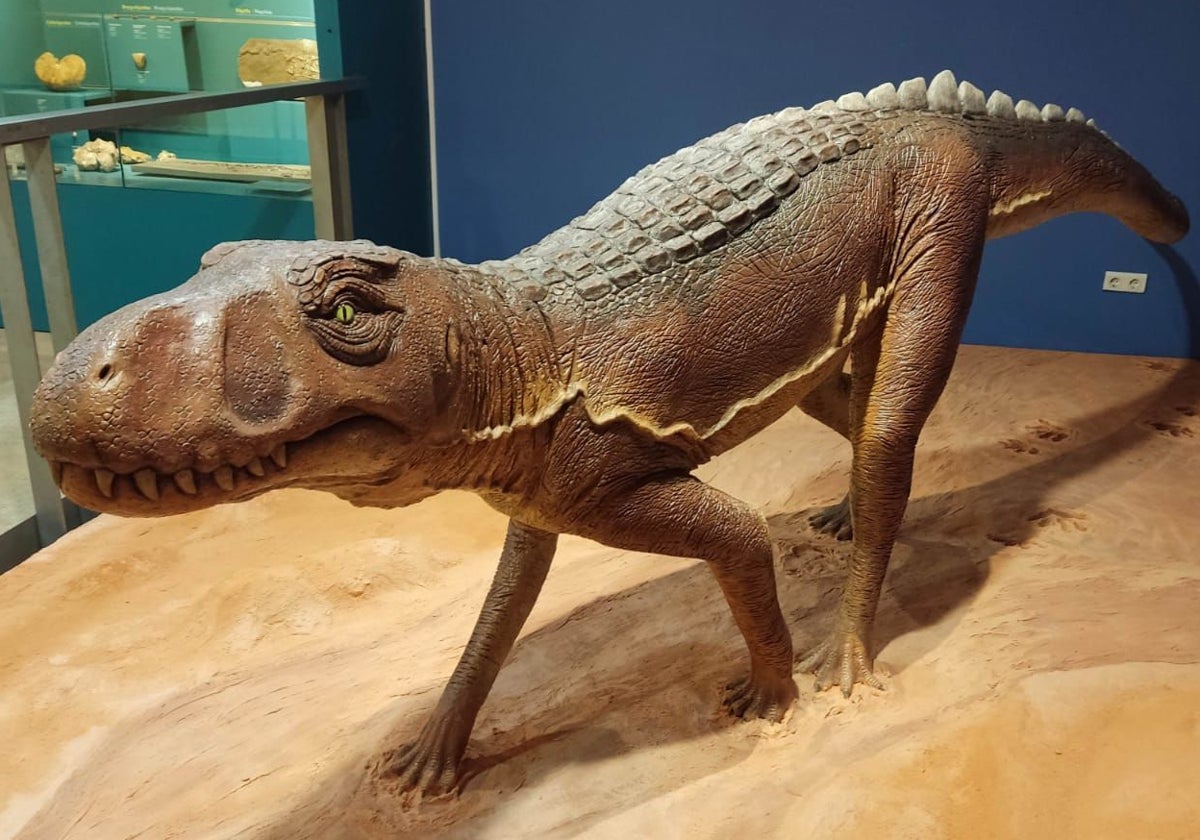 El Museo de Ciencias Naturales exhibe una recreación de Cheirotherium.