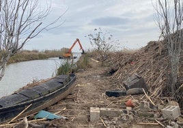 Tareas de limpieza este jueves en la Albufera.