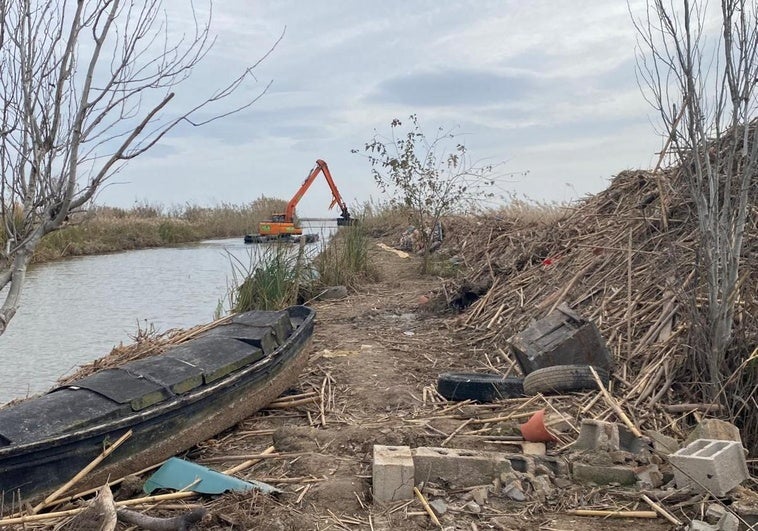 Tareas de limpieza este jueves en la Albufera.