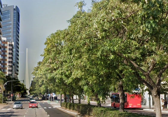 Árboles de la calle Menorca, junto al centro comercial Aqua.