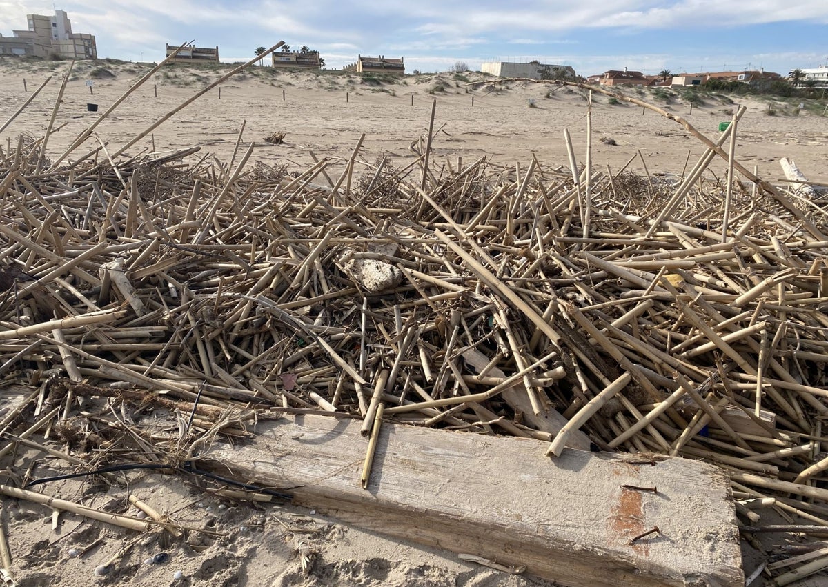 Imagen secundaria 1 - Playa de El Perellonet con troncos de árbol, vigas de casa y peces muertos.