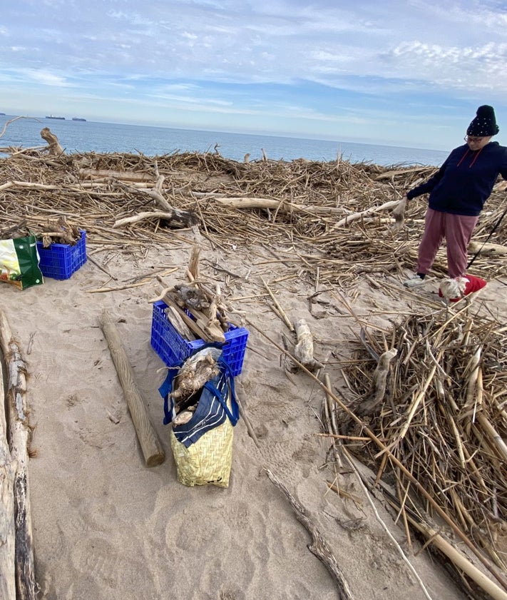 Imagen secundaria 2 - Playa de El Saler, llena de cañas, troncos, vigas y plásticos.