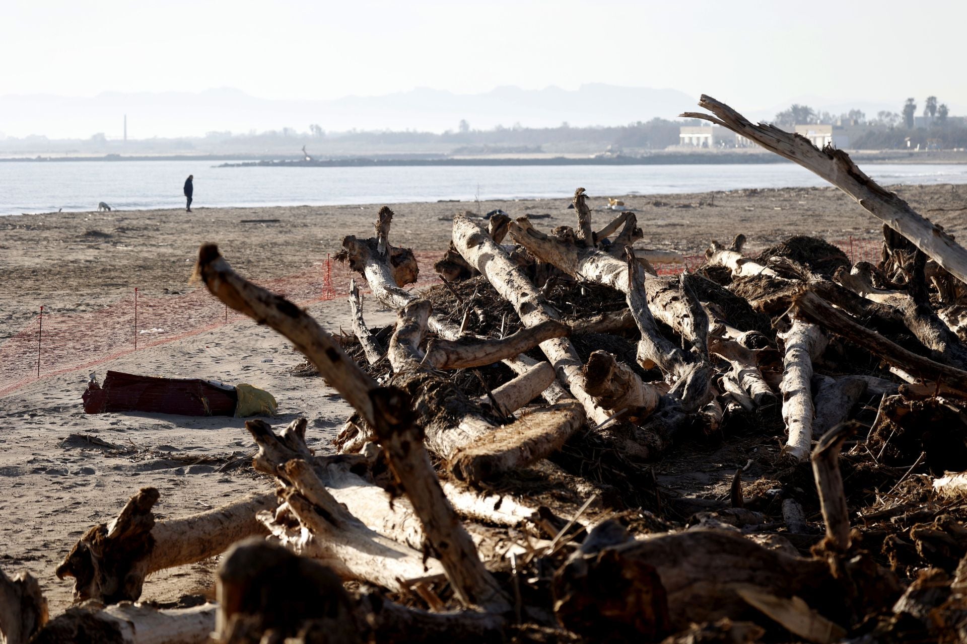 Cañas y troncos, varados en las playas del sur de Valencia