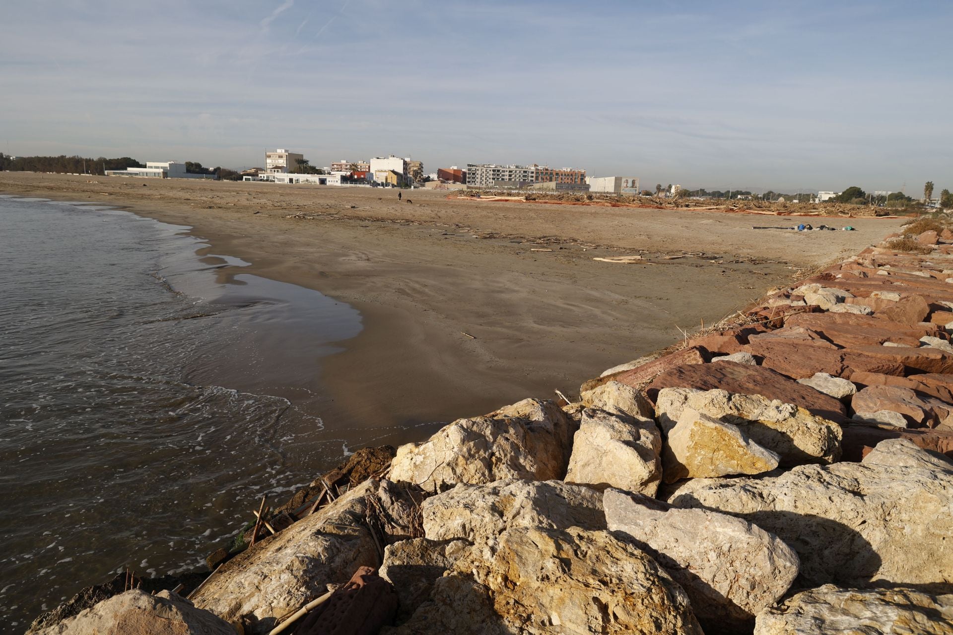 Cañas y troncos, varados en las playas del sur de Valencia