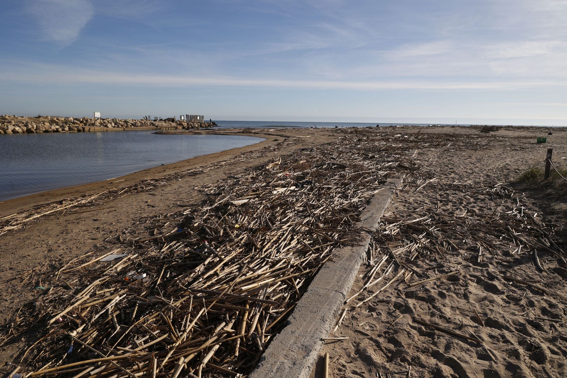 Cañas y troncos, varados en las playas del sur de Valencia