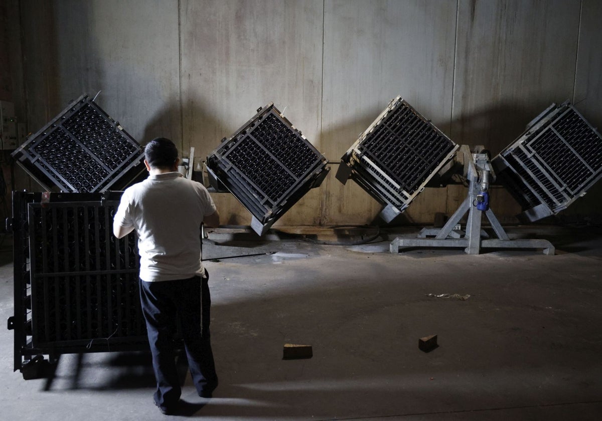 Un operario en la bodega Dominio de la Vega.