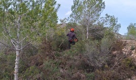 Trabajos iniciados en el paraje l'Heretat del Salido de l'Olleria.