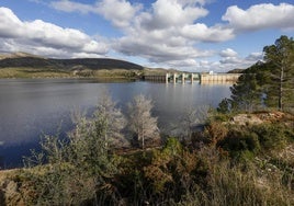 FOTOS | Presa de Forata