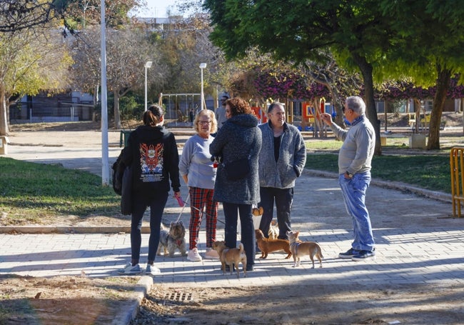 Un grupo de vecinos da un paseo con sus perros junto a los jardines.