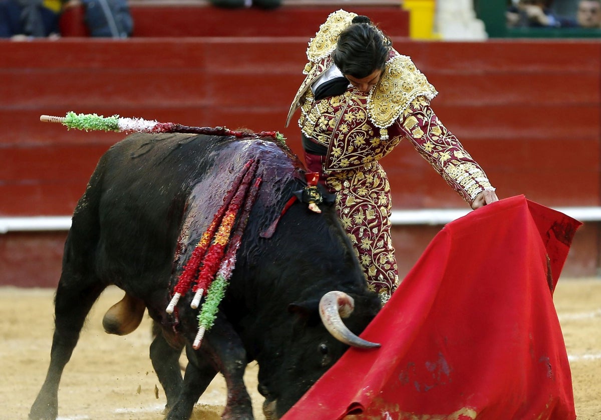 Morante podría estar en Fallas.