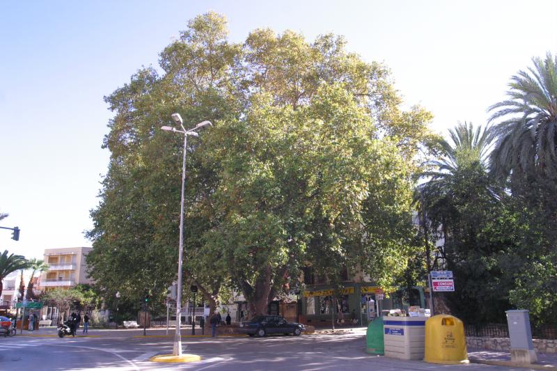 Zona de La Lloca donde se pretende cambiar el colector de aguas.