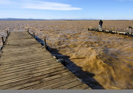 Aspecto actual de la Albufera.