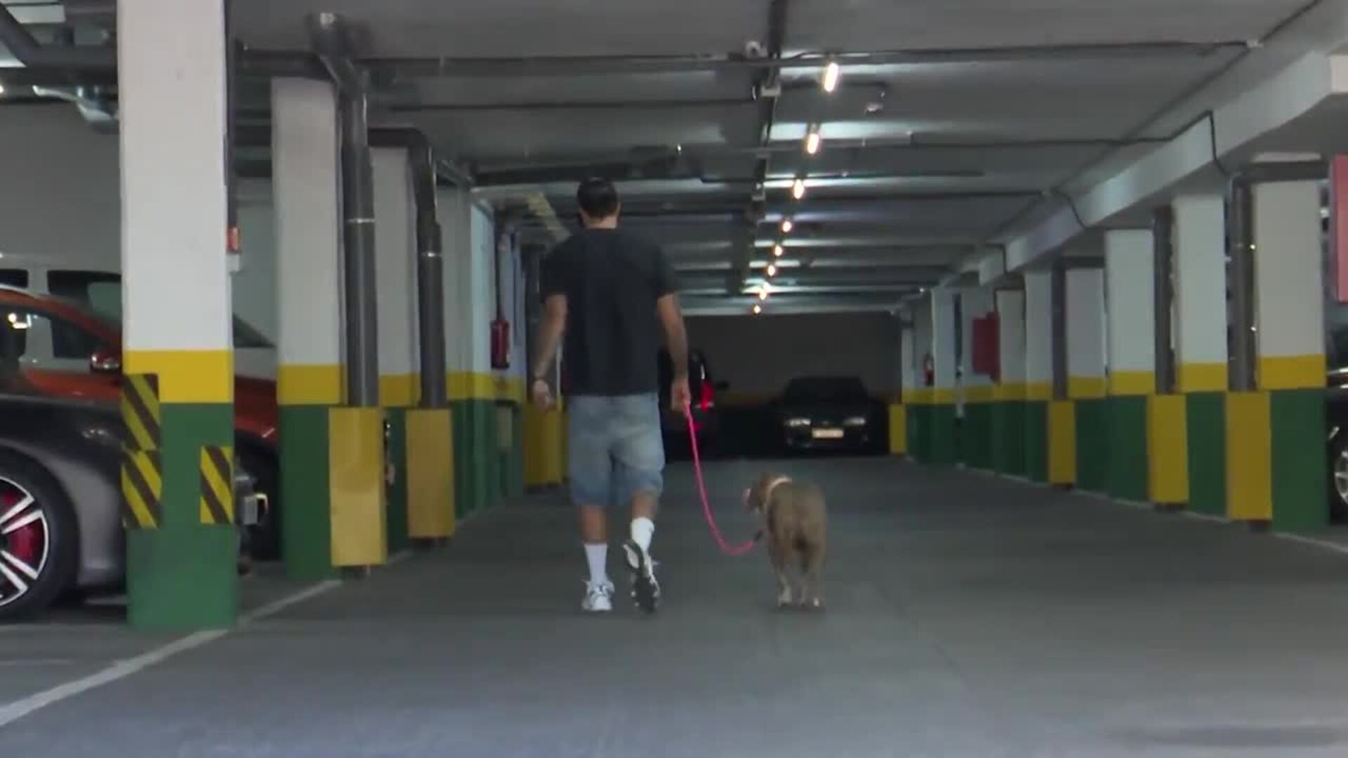 Carlo Costanzia estalla contra la prensa tras su ausencia en el