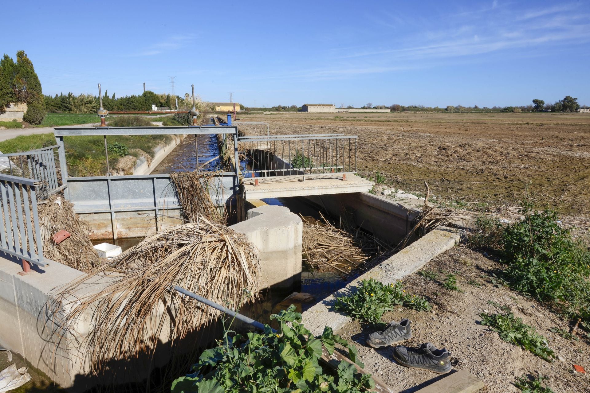 Trabajo contrarreloj para limpiar los miles de escombros de la dana que estrangulan la entrada de agua a la Albufera