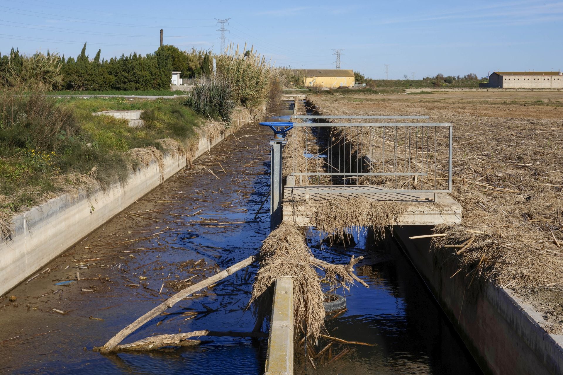 Trabajo contrarreloj para limpiar los miles de escombros de la dana que estrangulan la entrada de agua a la Albufera