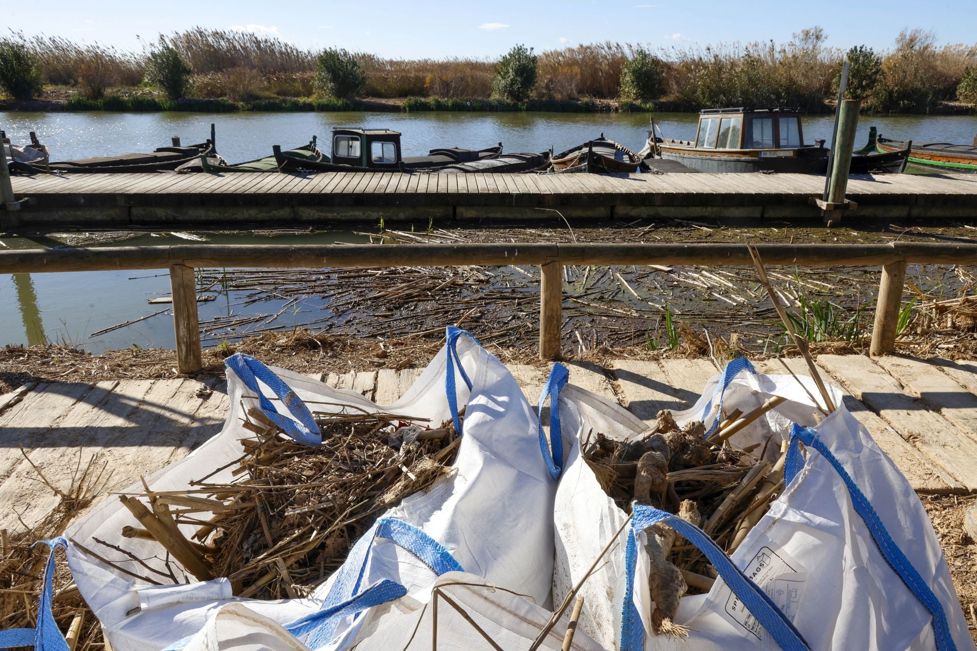 Trabajo contrarreloj para limpiar los miles de escombros de la dana que estrangulan la entrada de agua a la Albufera