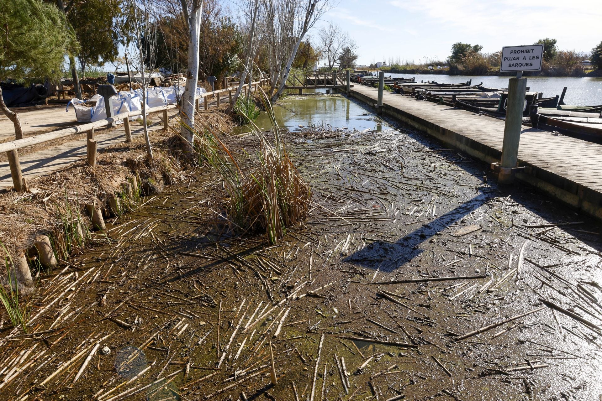 Trabajo contrarreloj para limpiar los miles de escombros de la dana que estrangulan la entrada de agua a la Albufera