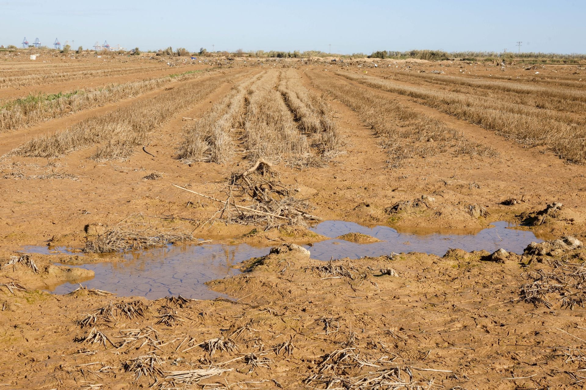 Trabajo contrarreloj para limpiar los miles de escombros de la dana que estrangulan la entrada de agua a la Albufera