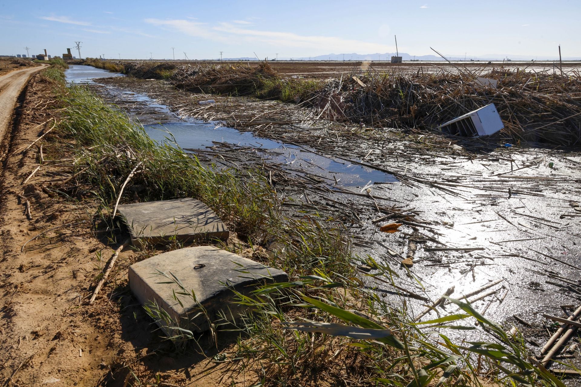 Trabajo contrarreloj para limpiar los miles de escombros de la dana que estrangulan la entrada de agua a la Albufera