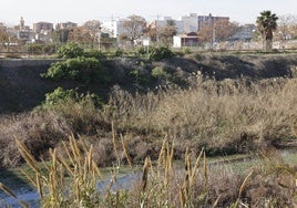 Estado del barranco del Carraixet en la actualidad.