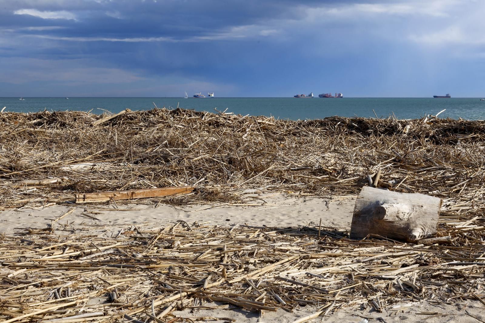 FOTOS | Cañas en las playas de Valencia tras la dana