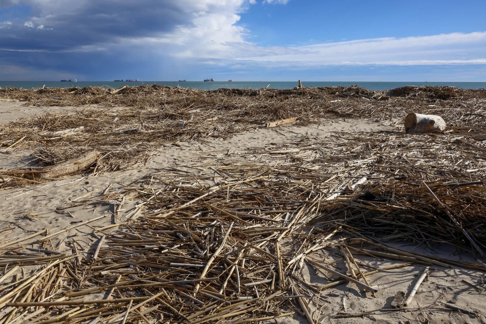 FOTOS | Cañas en las playas de Valencia tras la dana