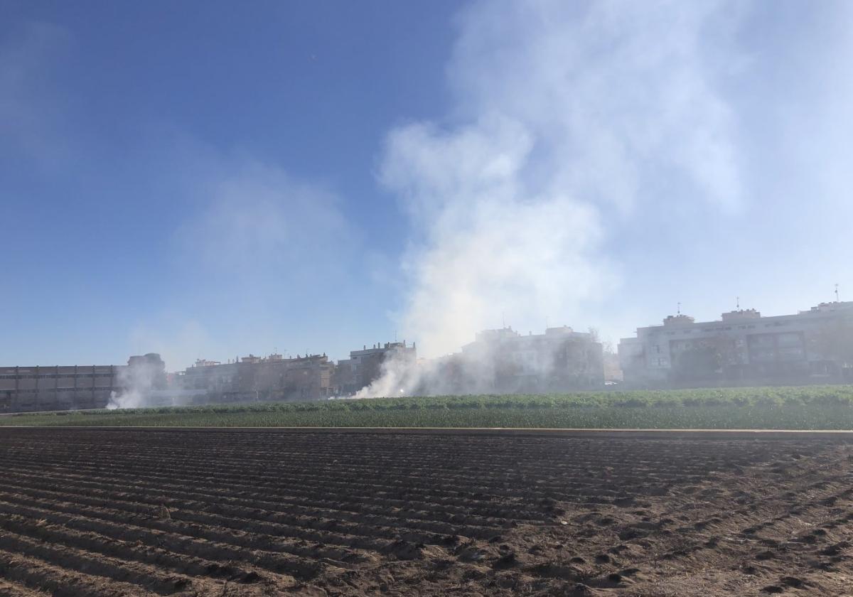 Pequeñas humaredas de campos de chufas en Almàssera.