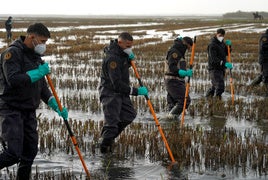 Militares peinan la Albufera en busca de desaparecidos tras la dana