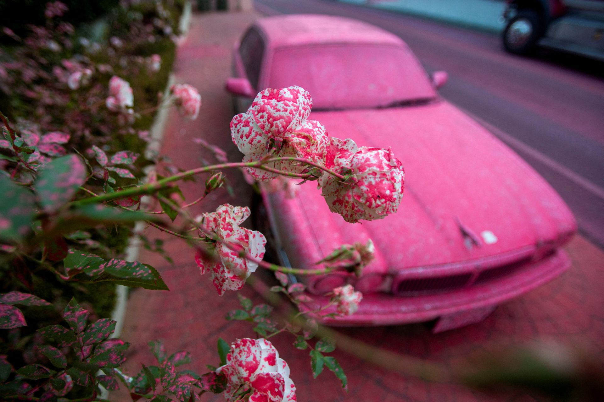 ¿Por qué Los Ángeles está cubierta de polvo rosa durante los incendios?