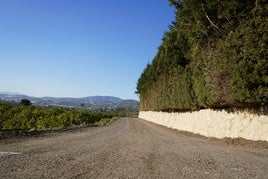 Uno de los caminos en los que ha actuado el Ayuntamiento de Xàtiva.