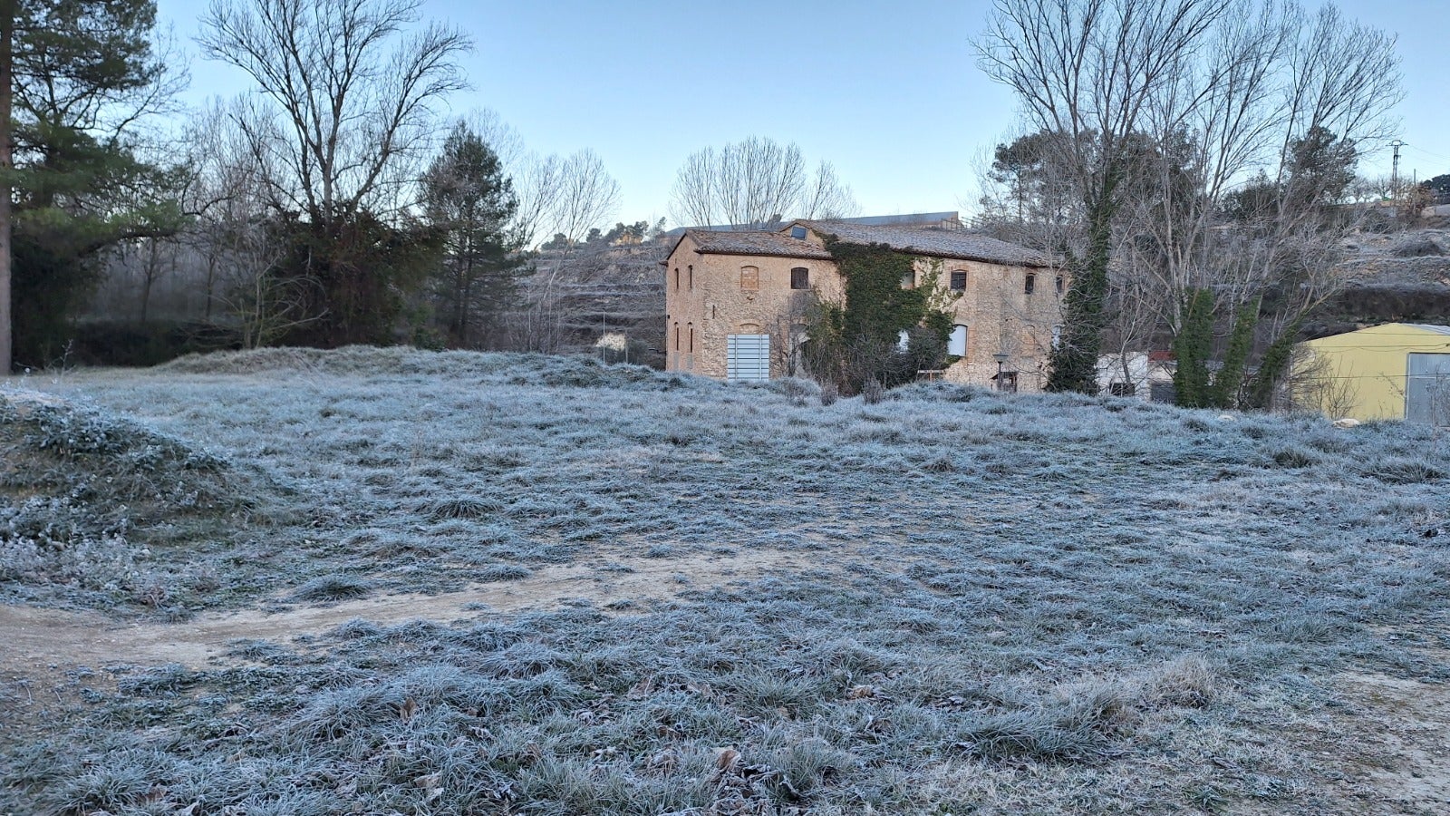 Campo helado en Bocairent.