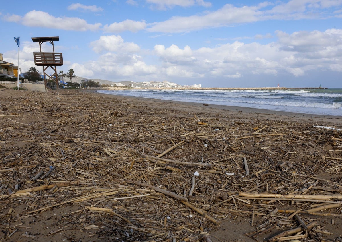 Imagen secundaria 1 - 1. Playa de El Saler. 2. Playa de Les Marenyes 3. Playa de Oropesa