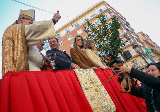 Bendición de animales por San Antonio Abad en la calle Sagunto de Valencia.