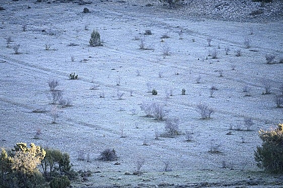 Escasa lluvia y algún granizo en las primeras horas de la dana en Comunitat