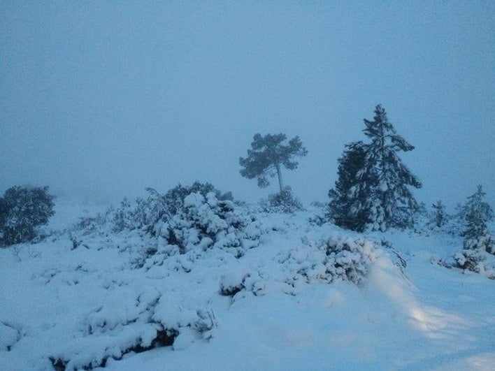 Nieve en la Sierra de Ayora este viernes.