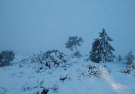 Nieve en la Sierra de Ayora este viernes.