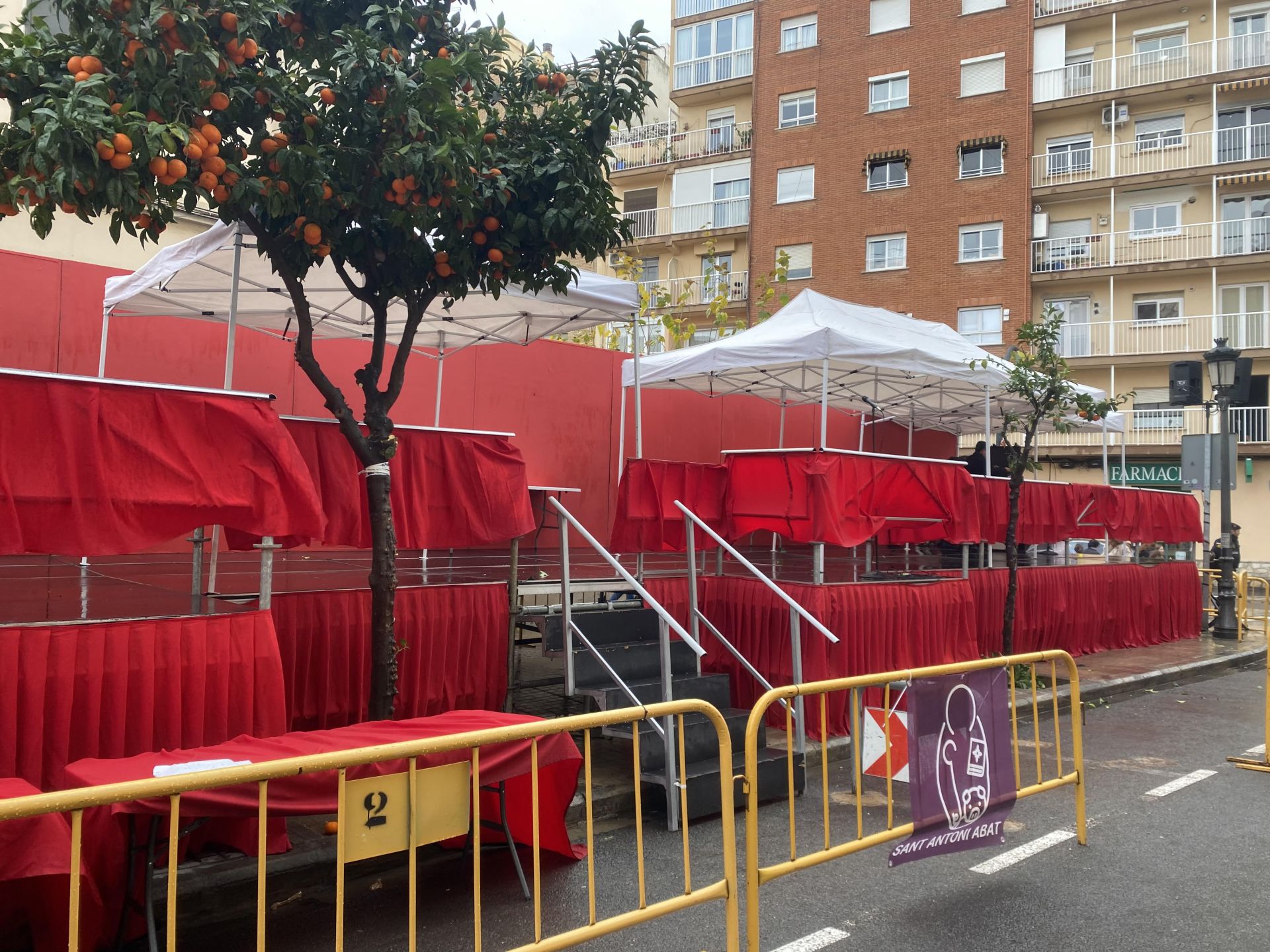 Las mascotas de Valencia, fieles a su cita con la bendición de Sant Antoni