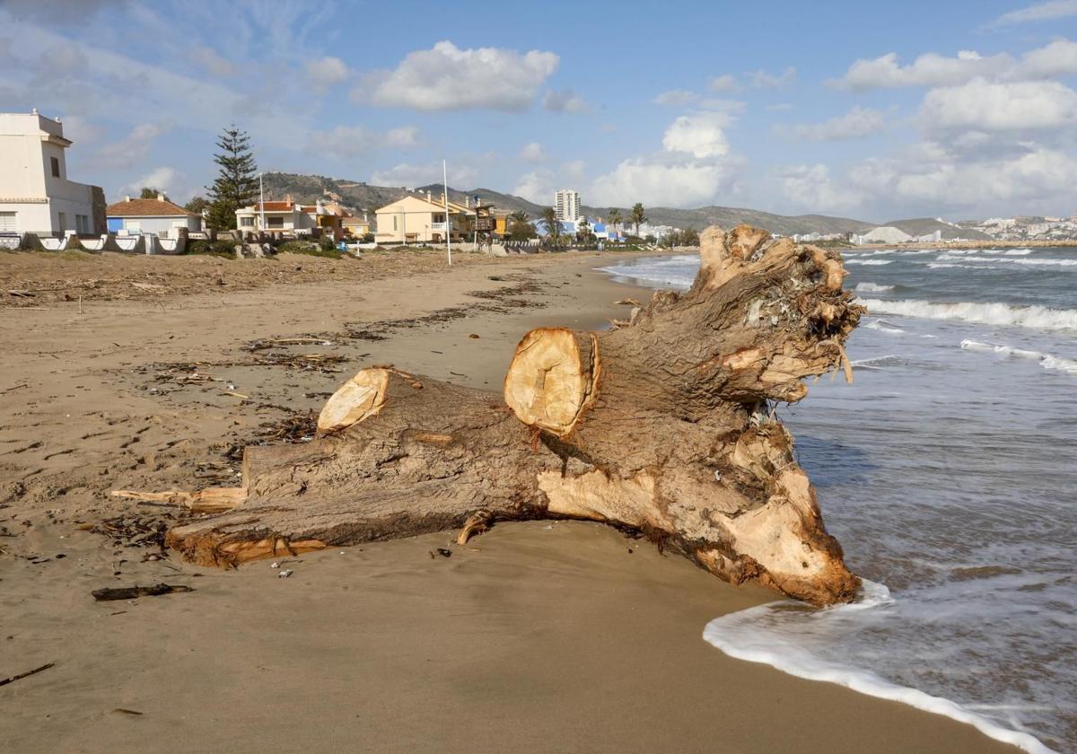 FOTOS | Los efectos de la dana en las playas valencianas